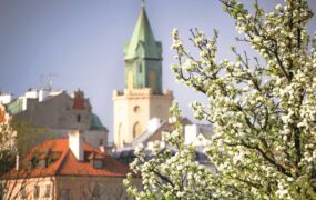 Od gotyckiej kaplicy do zielonego lasu – Lublin